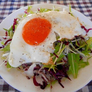 トレビスと水菜の目玉焼きサラダ